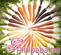 s�rgar�pa