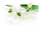 h�vir�g