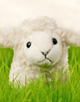 b�r�ny