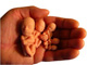 12. hetes baba