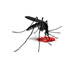 sz�nyog