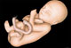 22. h�t